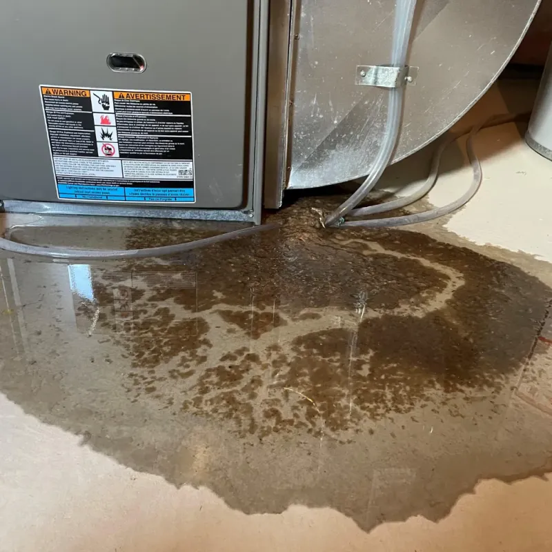 Appliance Leak Cleanup in Terrace Heights, WA